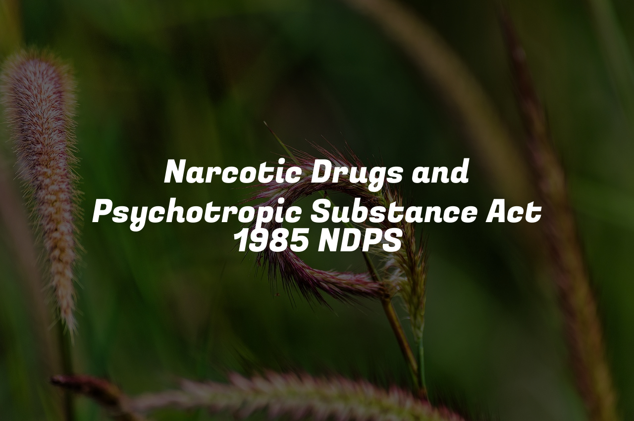 Narcotic Drugs and Psychotropic Substance Act 1985 NDPS